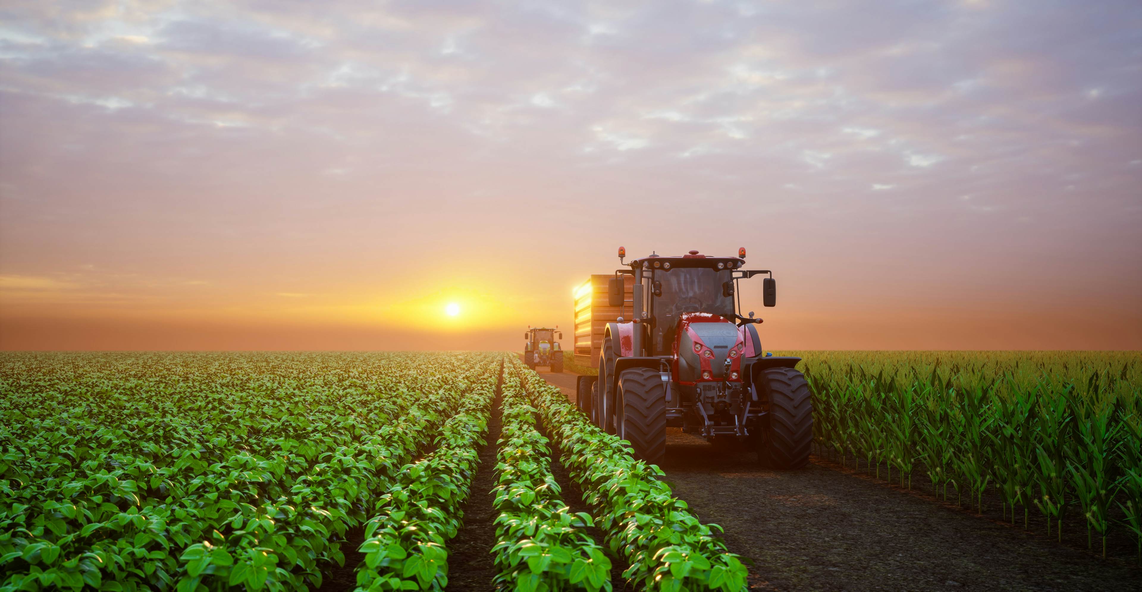 Tractor in field